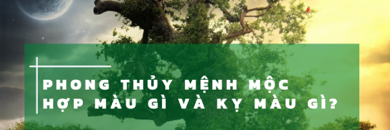 Mệnh Hoả kỵ màu gì theo quy luật tương khắc Thuỷ, tránh màu xanh dương và màu đen